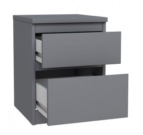 2.03.03.050.4 КАСТОР тумба 2 ящика RU серая в Ревде - revda.ok-mebel.com | фото 2