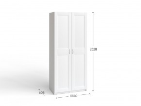 2.06.01.050.4 МАКС шкаф 2 двери 100х61х233 серый RU в Ревде - revda.ok-mebel.com | фото 4