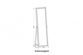 АЛЕКСАНДРИЯ-9.1 Зеркало напольное в Ревде - revda.ok-mebel.com | фото 2