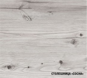 АСАЯ Кухонный гарнитур Экстра 2 (3000 мм) ПМ в Ревде - revda.ok-mebel.com | фото 8