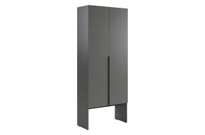 БАСКО Шкаф двухдверный L800 (графит) в Ревде - revda.ok-mebel.com | фото