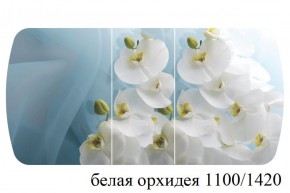 БОСТОН - 3 Стол раздвижной 1100/1420 опоры Триумф в Ревде - revda.ok-mebel.com | фото 9