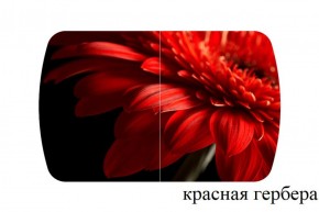БОСТОН - 3 Стол раздвижной 1100/1420 опоры Триумф в Ревде - revda.ok-mebel.com | фото 18