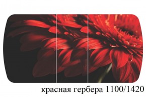 БОСТОН - 3 Стол раздвижной 1100/1420 опоры Триумф в Ревде - revda.ok-mebel.com | фото 19