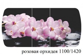 БОСТОН - 3 Стол раздвижной 1100/1420 опоры Триумф в Ревде - revda.ok-mebel.com | фото 34