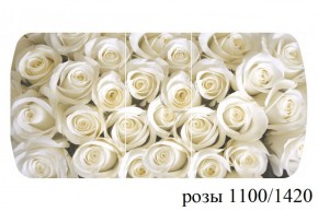 БОСТОН - 3 Стол раздвижной 1100/1420 опоры Триумф в Ревде - revda.ok-mebel.com | фото 37