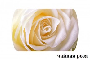 БОСТОН - 3 Стол раздвижной 1100/1420 опоры Триумф в Ревде - revda.ok-mebel.com | фото 47