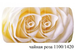 БОСТОН - 3 Стол раздвижной 1100/1420 опоры Триумф в Ревде - revda.ok-mebel.com | фото 48