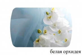 БОСТОН - 3 Стол раздвижной 1100/1420 опоры Триумф в Ревде - revda.ok-mebel.com | фото 8