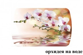 БОСТОН - 3 Стол раздвижной Орхидея на воде 1100/1420 опоры Триумф в Ревде - revda.ok-mebel.com | фото 2