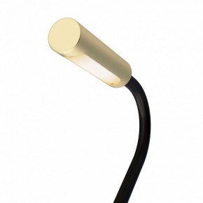 Бра Maytoni Stem C035WL-L3MG3K в Ревде - revda.ok-mebel.com | фото 6