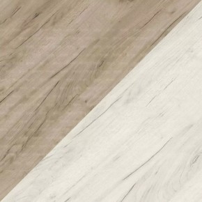 ДАРЬЯ Шкаф (Крафт серый/Крафт белый) гостиная в Ревде - revda.ok-mebel.com | фото 7