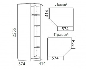 Детская Фанк Шкаф угловой Левый/Правый НМ 013.04-02 М в Ревде - revda.ok-mebel.com | фото 3