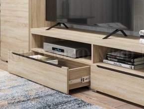 ЭКОЛЬ Гостиная Вариант №3 МДФ (Дуб сонома) в Ревде - revda.ok-mebel.com | фото 2