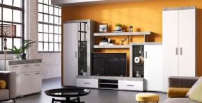 Гостиная Инстайл композиция №1 (ЦС-02/ШК-29/КМ-03) в Ревде - revda.ok-mebel.com | фото