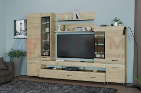 Гостиная Камелия Композиция 3 (Гикори Джексон светлый) в Ревде - revda.ok-mebel.com | фото