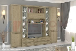 Гостиная Карина Композиция 19 (Гикори Джексон светлый) в Ревде - revda.ok-mebel.com | фото