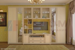 Гостиная Карина Композиция 6 (Ясень Асахи) в Ревде - revda.ok-mebel.com | фото