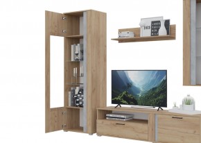 Гостиная Омега (Крафт золотой-Бетон) в Ревде - revda.ok-mebel.com | фото 5