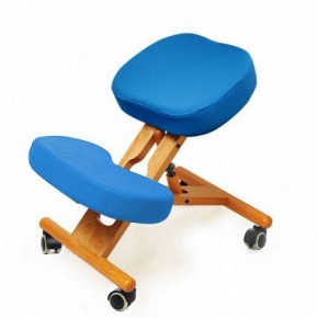 Коленный стул Smartstool KW02 + Чехлы в Ревде - revda.ok-mebel.com | фото