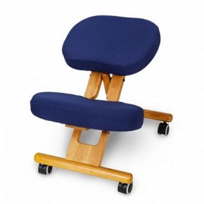 Коленный стул Smartstool KW02 + Чехлы в Ревде - revda.ok-mebel.com | фото 2