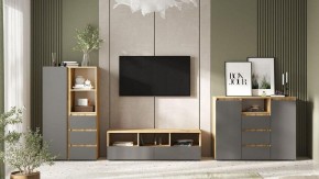 Комод Элла в Ревде - revda.ok-mebel.com | фото 3