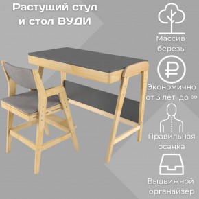 Комплект растущий стол и стул с чехлом 38 попугаев «Вуди» (Серый, Без покрытия, Серый) в Ревде - revda.ok-mebel.com | фото