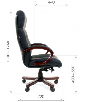 Кресло для руководителя CHAIRMAN  421 (Натуральная кожа) Черное в Ревде - revda.ok-mebel.com | фото 5