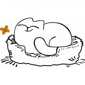 Кровать двухуровневая Кот № 900.1 ПРАВАЯ (туя светлая/белый) в Ревде - revda.ok-mebel.com | фото 2