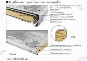 Кухонный фартук со столешницей (А-09) в едином стиле (3050 мм) в Ревде - revda.ok-mebel.com | фото 6