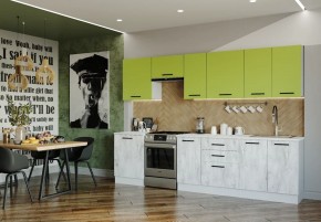 Кухонный гарнитур Гарда 3000 (Стол. 38мм) в Ревде - revda.ok-mebel.com | фото