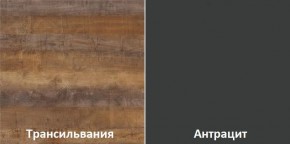 Кухонный гарнитур угловой Трансильвания 2600х1600 мм (Стол. 26 мм) в Ревде - revda.ok-mebel.com | фото 3