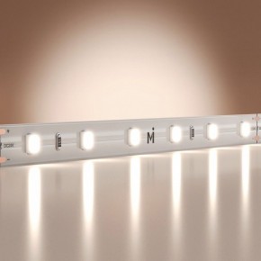 Лента светодиодная Maytoni Base 201167 в Ревде - revda.ok-mebel.com | фото