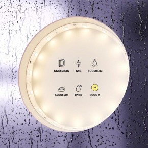Лента светодиодная Maytoni Led strip 10105 в Ревде - revda.ok-mebel.com | фото 2