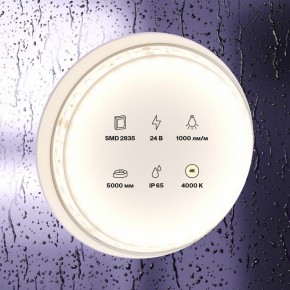Лента светодиодная Maytoni Led strip 10146 в Ревде - revda.ok-mebel.com | фото 3