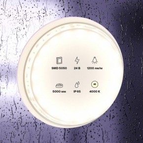 Лента светодиодная Maytoni Led strip 10172 в Ревде - revda.ok-mebel.com | фото 2