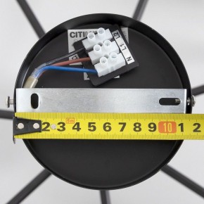 Люстра на штанге Citilux Стивен CL141271 в Ревде - revda.ok-mebel.com | фото 13