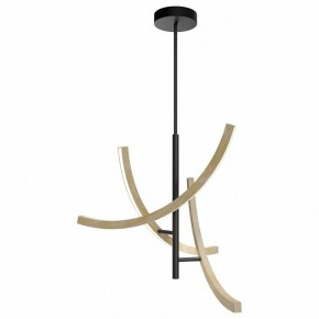 Люстра на штанге Maytoni Wabi MOD428PL-L27BK в Ревде - revda.ok-mebel.com | фото