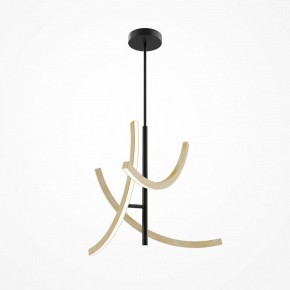 Люстра на штанге Maytoni Wabi MOD428PL-L27BK в Ревде - revda.ok-mebel.com | фото 5