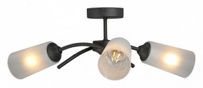 Люстра на штанге Vitaluce V2850 V2850-1/3PL в Ревде - revda.ok-mebel.com | фото
