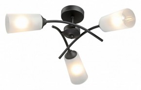 Люстра на штанге Vitaluce V2850 V2850-1/3PL в Ревде - revda.ok-mebel.com | фото 2