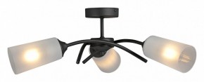 Люстра на штанге Vitaluce V2850 V2850-1/3PL в Ревде - revda.ok-mebel.com | фото 3