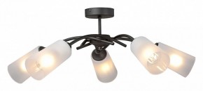 Люстра на штанге Vitaluce V2850 V2850-1/5PL в Ревде - revda.ok-mebel.com | фото
