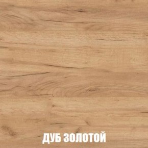 МСП-1 Шкаф 2-х створчатый (Дуб Золотой/Камень темный) в Ревде - revda.ok-mebel.com | фото 4