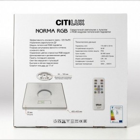 Накладной светильник Citilux Norma CL749K400 в Ревде - revda.ok-mebel.com | фото 17
