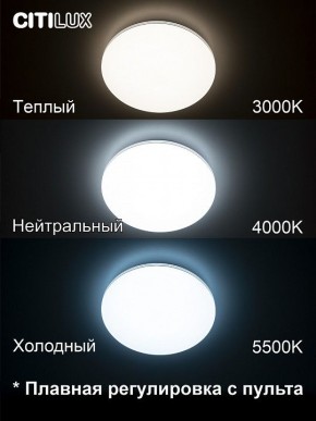 Накладной светильник Citilux Симпла CL714330G в Ревде - revda.ok-mebel.com | фото 4