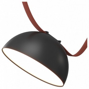 Накладной светильник Denkirs Belty Flow DK5660-BK в Ревде - revda.ok-mebel.com | фото