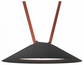 Накладной светильник Denkirs Belty Flow DK5664-BK в Ревде - revda.ok-mebel.com | фото
