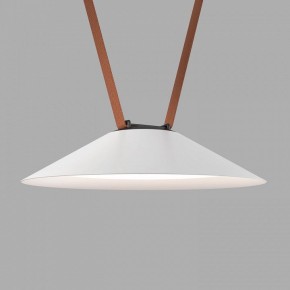 Накладной светильник Denkirs Belty Flow DK5664-WH+BK в Ревде - revda.ok-mebel.com | фото 2