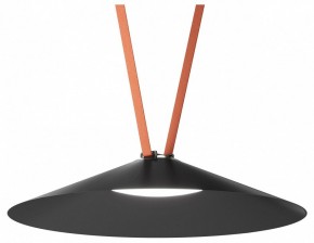 Накладной светильник Denkirs Belty Flow DK5668-BK в Ревде - revda.ok-mebel.com | фото